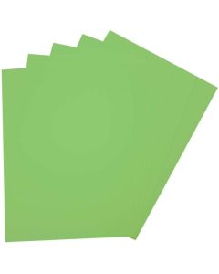 Caoutchouc Mousse - Vert clair - 200 x 290 mm : FOLIA Lot de 10 Visuel