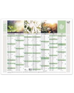 Calendrier mural 2025 - 430 x 335 mm QUO VADIS Equology 238089Q Décembre à Juin