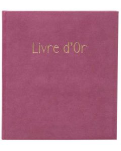 Livre d'or - 270 x 220 mm - 100 pages - Gris : EXACOMPTA Ellipse image