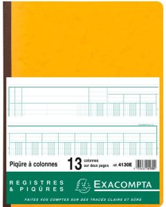 Registre 13 colonnes - 320 x 250 mm EXACOMPTA 4130E Modèle