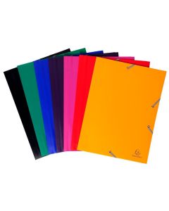 Chemise à élastiques en PP Opaque - Assortiment EXACOMPTA Eco Image