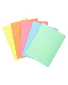 Sous-chemises pour dossier A4 - Assortiment EXACOMPTA 850300E