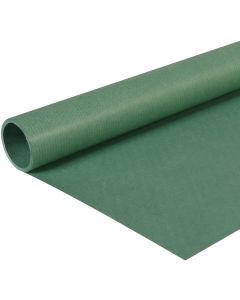 Papier Cadeau uni - Vert Mousse - 0,70 x 3 m : CLAIREFONTAINE Visuel