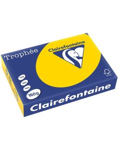 Ramette de papier Trophée de 250 feuilles A4 160g - Jaune Or : CLAIREFONTAINE Image