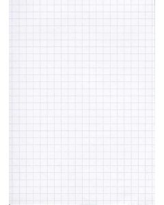 Fiches Bristol 125 x 200 mm - Blanc quadrillé ELVE B12513