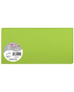 Photo POLLEN Carte DL vert menthe 106 x 213 mm 1521C Clairefontaine