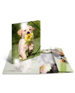 Photo Chemise à élastique A3 - Motif Chiens HERMA image