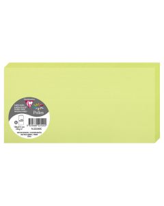 Photo POLLEN : Carte double de papier - Format DL - Vert bourgeon 22540C