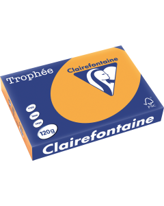 Ramette de papier de 250 feuilles A4 120g - Clémentine : CLAIREFONTAINE Trophée Photo
