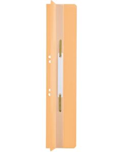 Photo Relieur à lamelles pour dossier avec pli - Chamois : LEITZ Lot de 25  - 3726-00-11