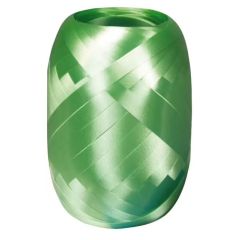 Photo SUSY CARD : Ruban cadeau bolduc - Vert pomme - 11229911