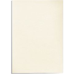 Lot de 100 couvertures pour Reliure Delta - Carton - Ivoire : FELLOWES Visuel