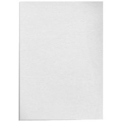 Lot de 100 couvertures pour Reliure Delta - Carton - Blanc : FELLOWES Visuel
