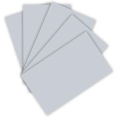 Feuille de papier - 220 g - 500 x 700 mm - Gris Clair : FOLIA Visuel