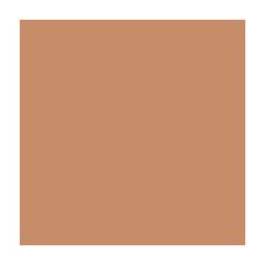 Feuilles de couleur A4 - 210 x 297 mm Marron clair FOLIA