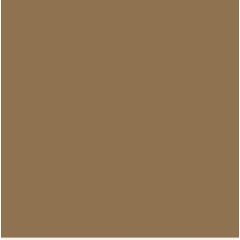 Feuilles de couleur A4 - 210 x 297 mm - Marron chevreuil : FOLIA Visuel