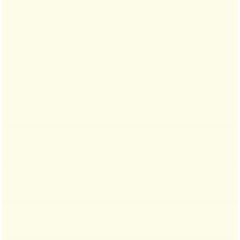 Feuilles de papier de couleur - 500 x 700 mm - Blanc perle : FOLIA Visuel