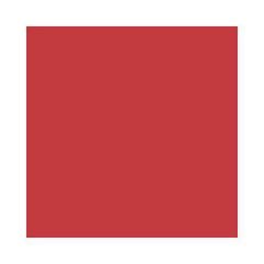 Feuilles de papier de couleur - 500 x 700 mm - Hibiscus : FOLIA Lot de 10