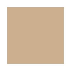 Feuilles de papier de couleur - 500 x 700 mm - Cappuccino : FOLIA Lot de 10