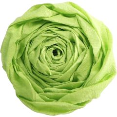 Papier Crépon - Vert pomme : CLAIREFONTAINE photo