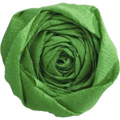 Papier Crépon - Vert pré : CLAIREFONTAINE Visuel