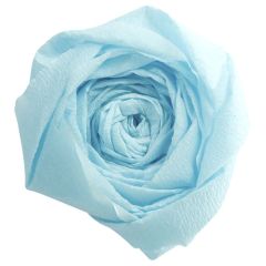 Papier Crépon - Bleu turquoise : CLAIREFONTAINE Visuel