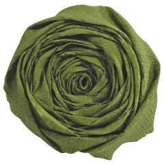 Papier Crépon - Vert mousse : CLAIREFONTAINE Visuel