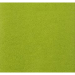 Papier de soie - Vert Pomme - 500 x 750 mm : CLAIREFONTAINE Lot de 8 couleur