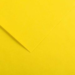 Feuilles de couleur 500 x 650 mm - Gris Clair - CANSON Vivaldi
