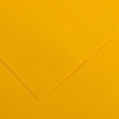 Feuilles de couleur 500 x 650 mm - Gris Clair - CANSON Vivaldi