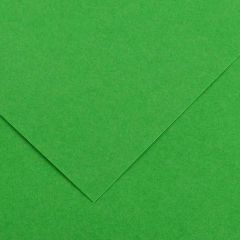 Feuilles de couleur 500 x 650 mm - Noir - CANSON Vivaldi