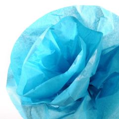 Papier de Soie - Bleu Turquoise - 500 mm x 5 m : CANSON Image
