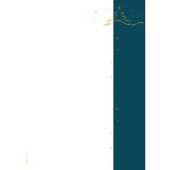 Papier à motif de Noël - Essence de Sapin de Noël - Lot de 100 feuilles : SIGEL image