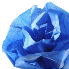 Image CANSON : Papier de soie - Bleu