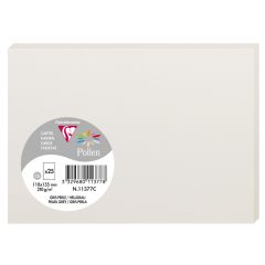 Photo POLLEN Carte Gris perle 110 x 155 mm C6 11377C Clairefontaine