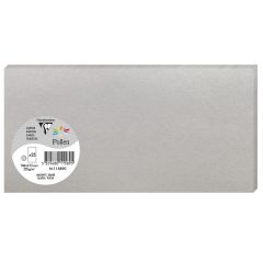 Photo POLLEN Carte DL Argent 106 x 213 mm 11589C Clairefontaine