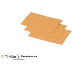 Photo POLLEN : Carte de papier Clémentine - Format 70 x 95 mm 1236C