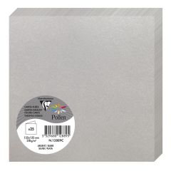 Photo Cartes double en papier - 135 x 135 mm - Argent : CLAIREFONTAINE Pollen