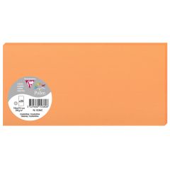 Photo POLLEN Carte DL Clémentine 106 x 213 mm 1536C Clairefontaine