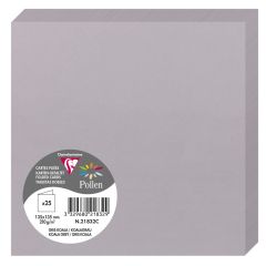 Photo Cartes double en papier - 135 x 135 mm - Gris Koala CLAIREFONTAINE Pollen Lot de 25