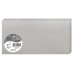 Photo POLLEN : Carte double de papier - Format DL - Argent 22589C