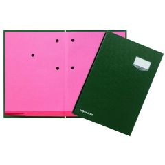 Photo PAGNA : Parapheur 20 compartiments - Vert - 24202-03