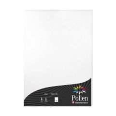 Photo Feuille de couleur Blanc irisé 210 x 297 mm A4 POLLEN 24302C