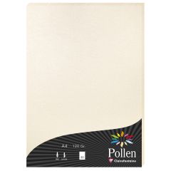 Photo Feuille de couleur Ivoire irisé  210 x 297 mm A4 POLLEN 24303C