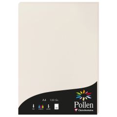 Photo Feuille de couleur Gris perle 210 x 297 mm A4 POLLEN 4268C