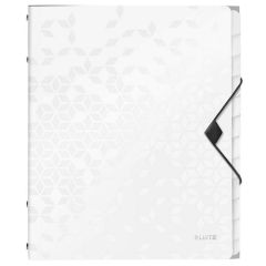 Photo Trieur A4 - 12 compartiments - Blanc LEITZ Wow Image