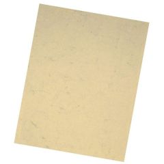 Feuilles de papier peau d'éléphant - A4 - Chamois FOLIA Image