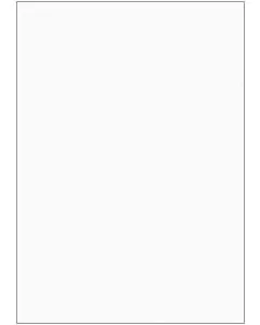 ELVE B105 : Lot de 100 fiches bristol A6 - 105 x 148 mm - Blanc uni