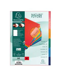 EXACOMPTA : Jeu de 6 intercalaires neutres en carte lustrée 2206E