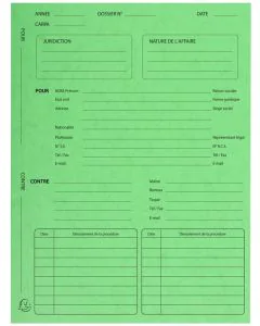 Dossier de Procédure Avocat Chemises - Vert EXACOMPTA modèle